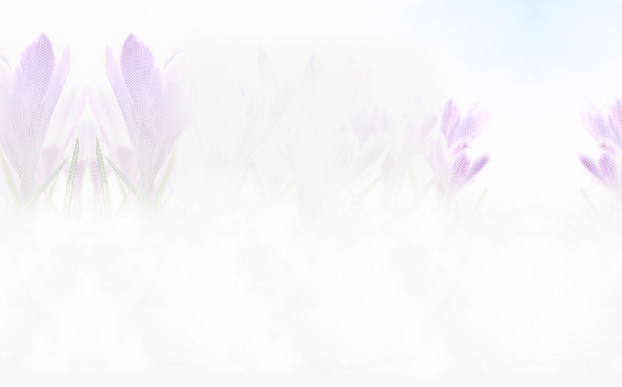 Welcome to our Nail Care Center