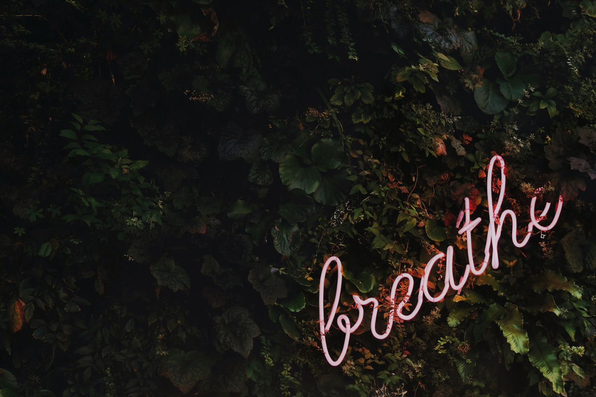 Relax and build<br>beautiful sites