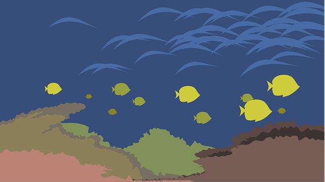 Service & Maintenance