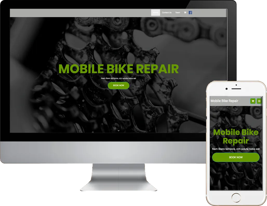 Mobile Bike Repair