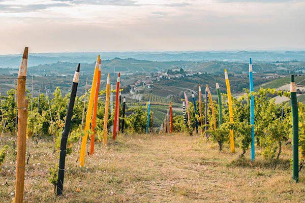 Coazzolo - La Vigna dei Pastelli