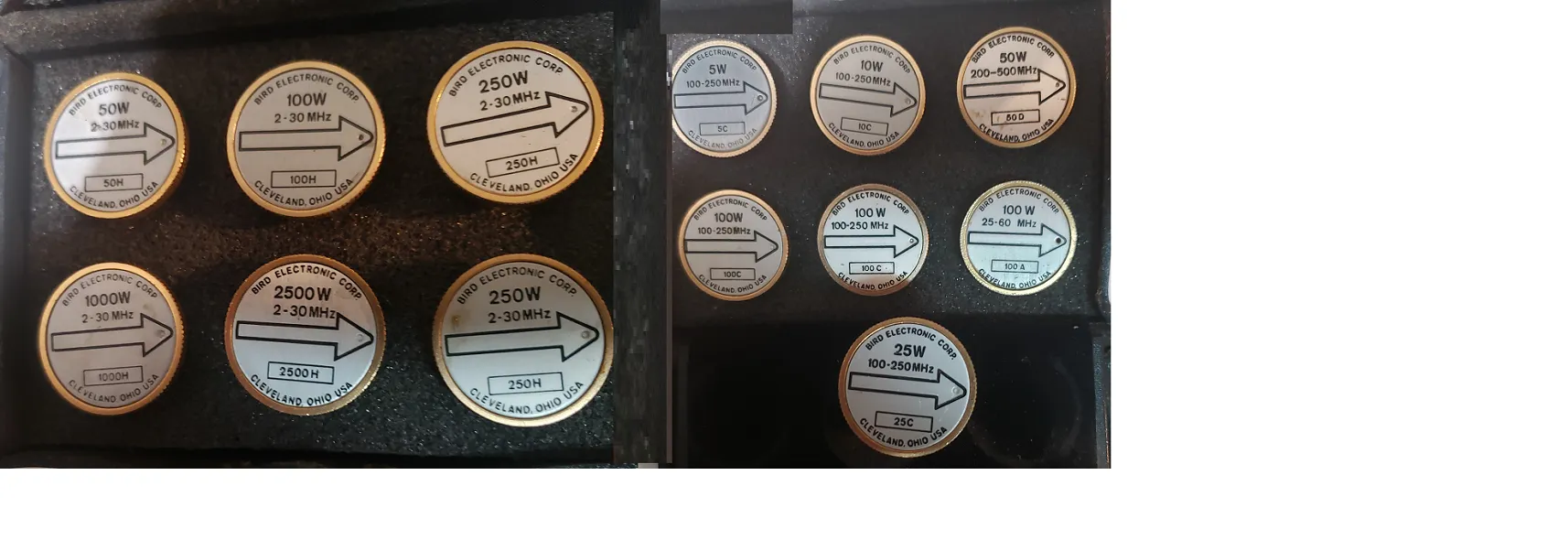 Bird Plugs with Case