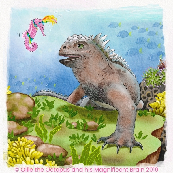 Maximillian the Marine iguana