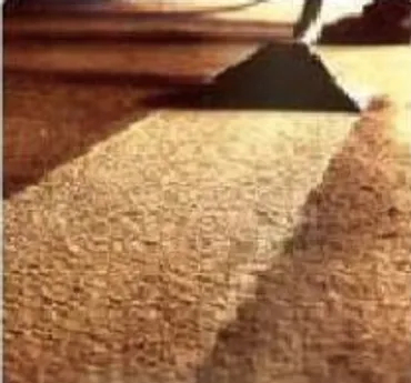 Carpet <hr>