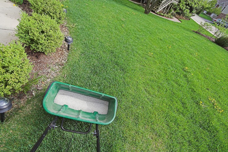 lawn care lawn maintenance service