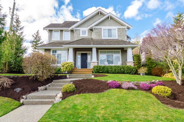 lawn care lawn maintenance service