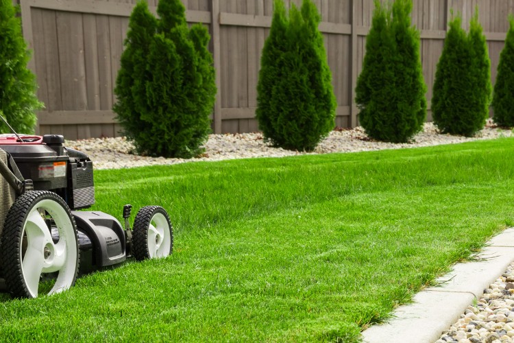 lawn care lawn maintenance service