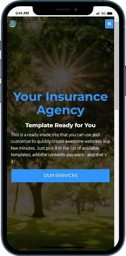 Insurance Agency
