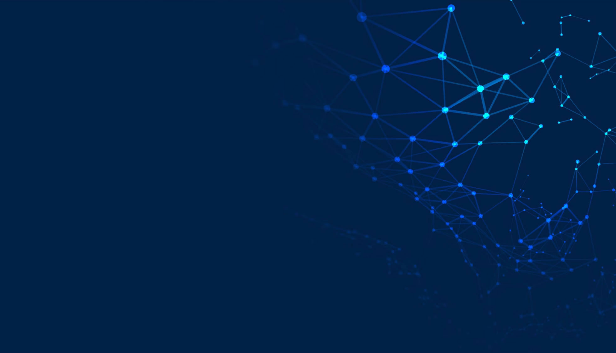 SALES PAGE - BLACK FRIDAY SCOTTY