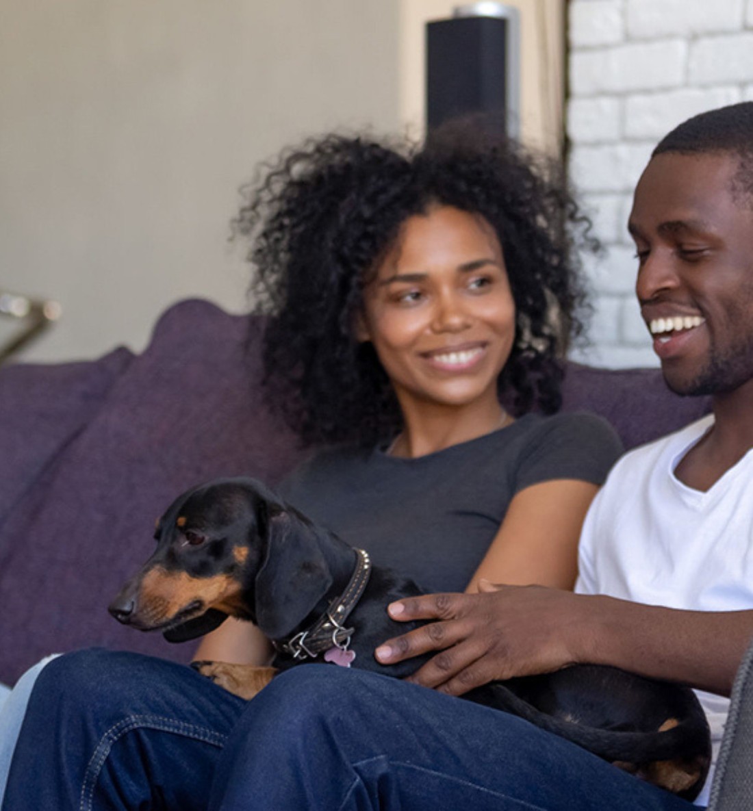 Carpet & Upholstery Cleaning Services in Middlesex