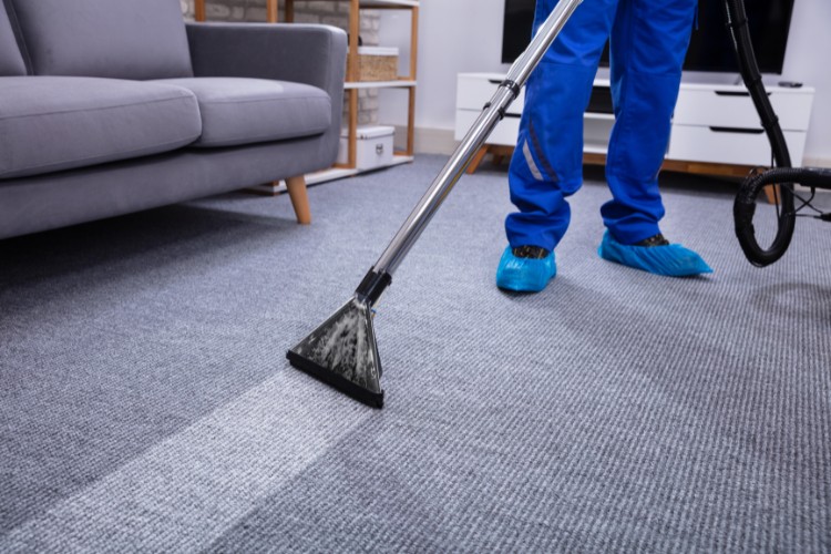 experienced professional carpet cleaning company