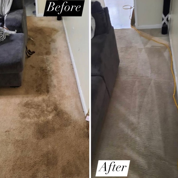 Total Care Carpet & Upholstery Cleaning