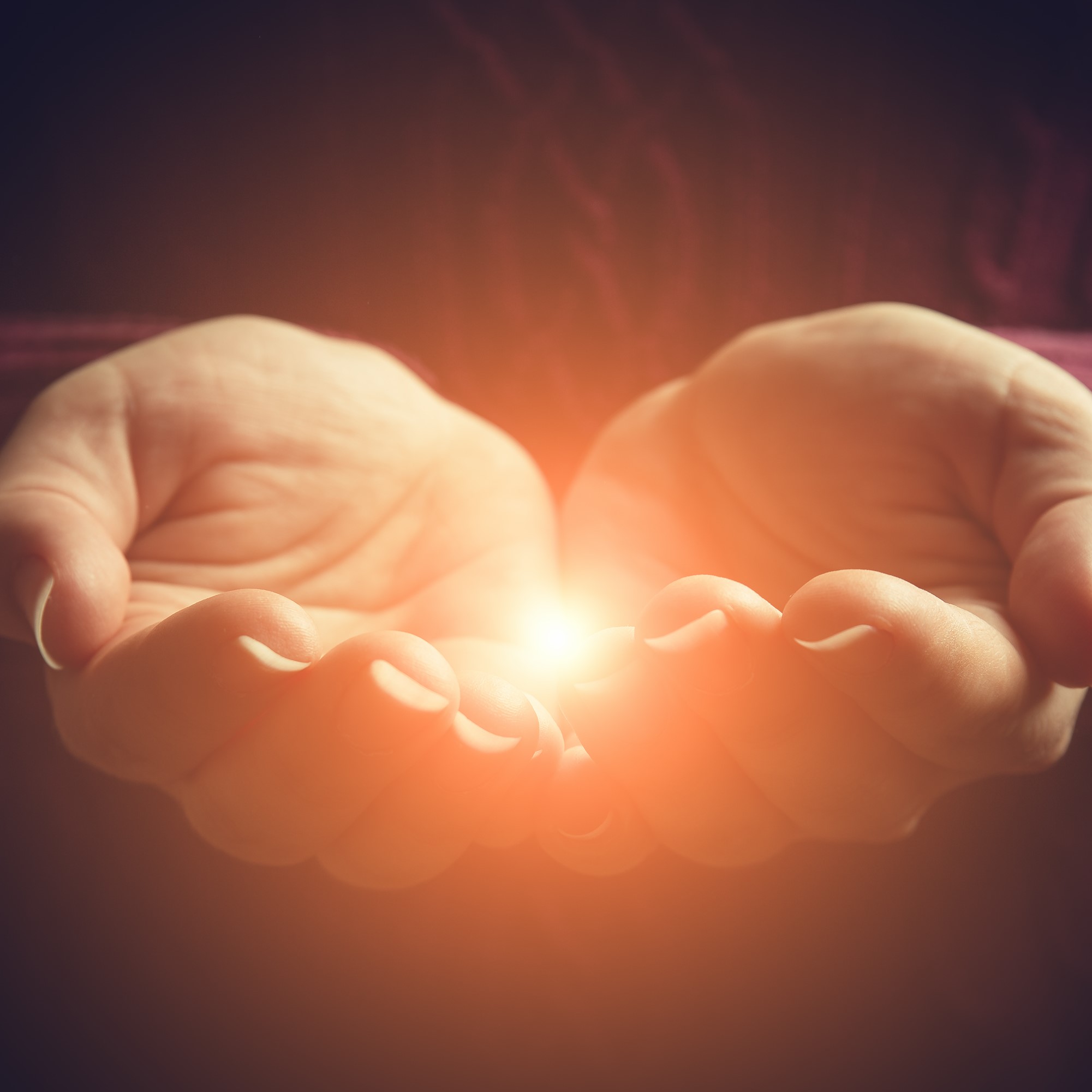 The Reconnection <hr>