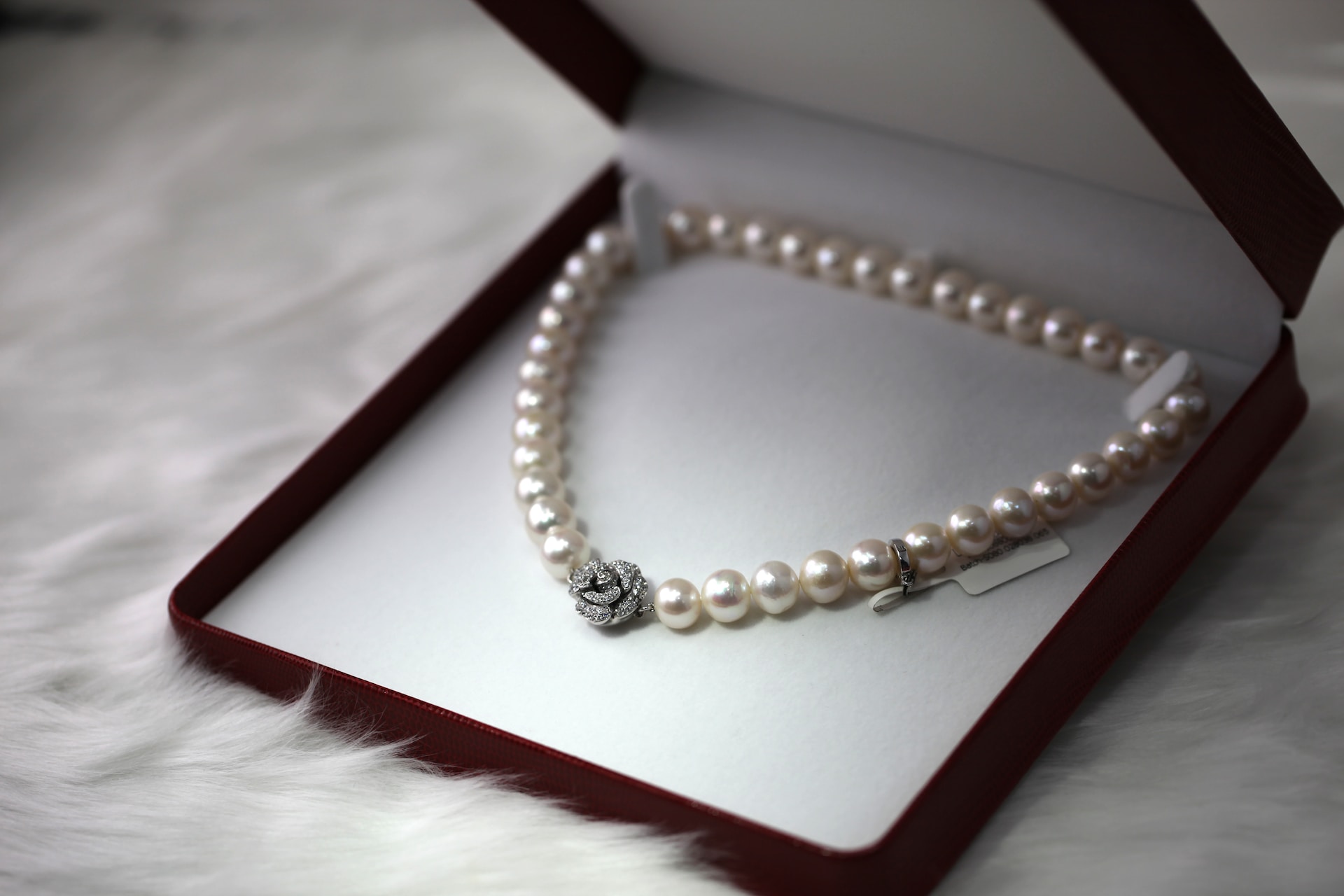 Pearl Choker Necklace