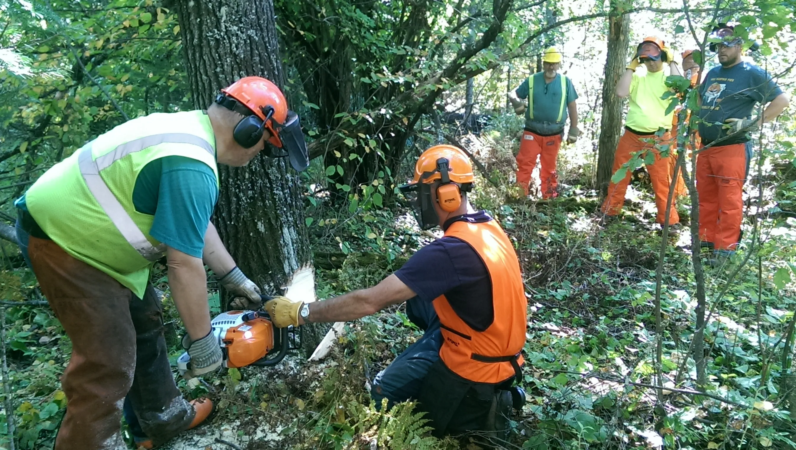 St. Louis County Safety & Risk Mgmt