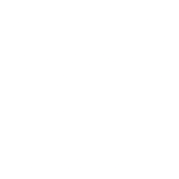 Web design & mobile apps