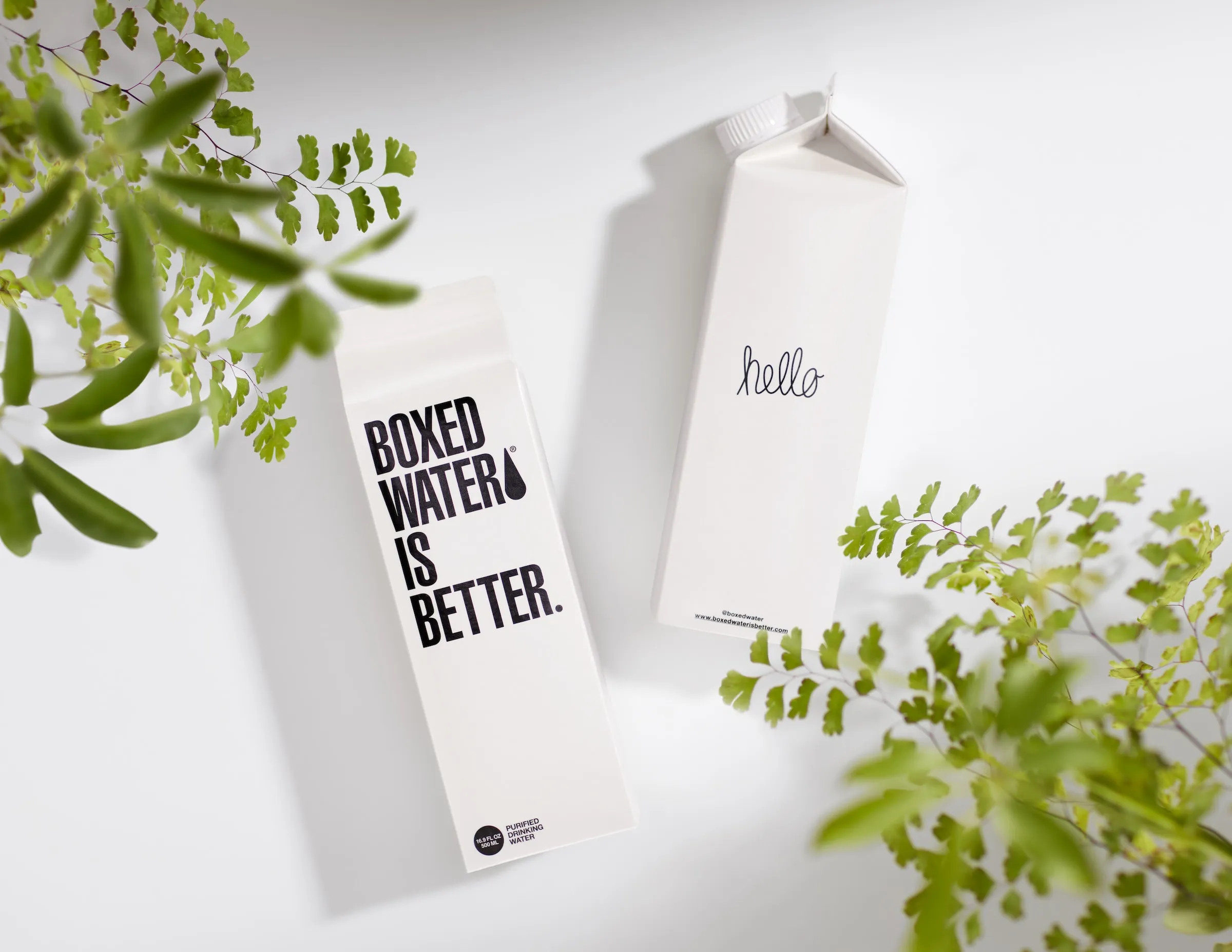 Boxed water