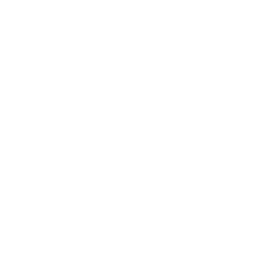 2. Add it to the shoppint cart