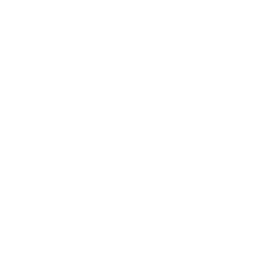 3. Complete the checkout form