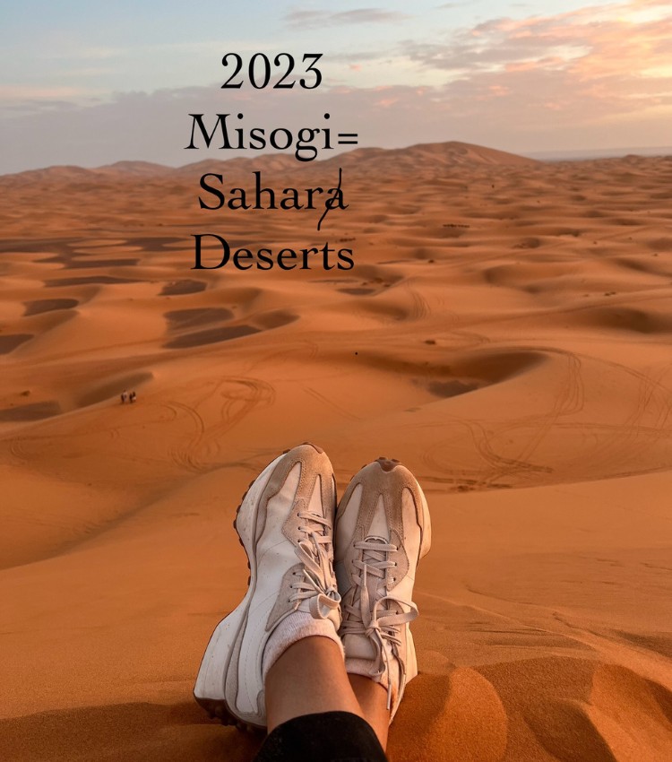 Lisbeth Farinella speaker