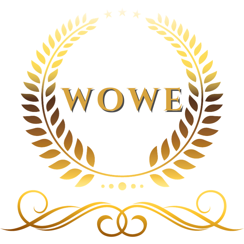 The WOWE Factor Academy