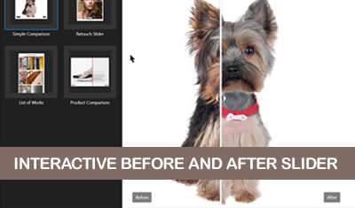 Before and After Slider Builder
