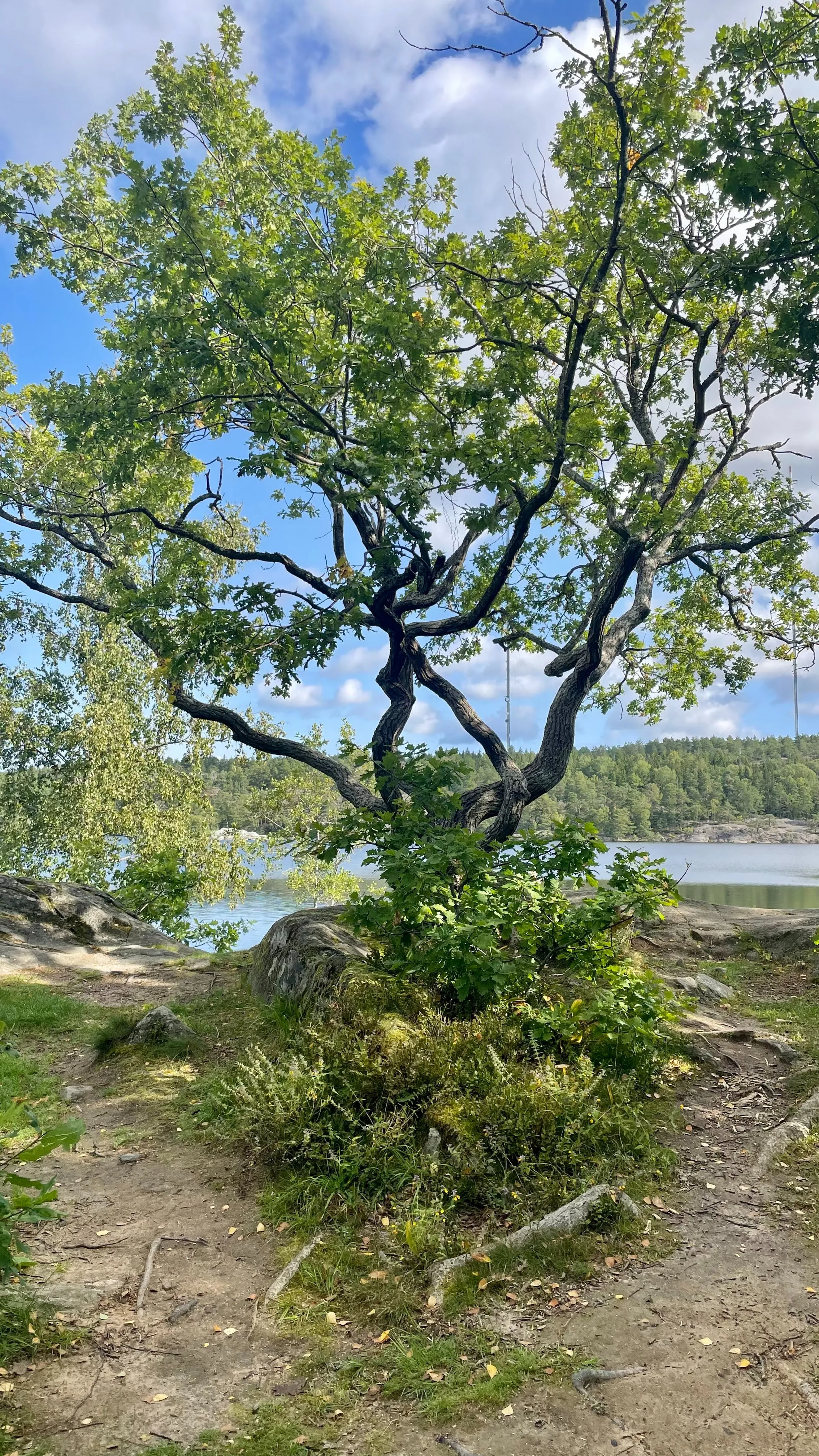 Seeds That Bear Fruit James pt 3