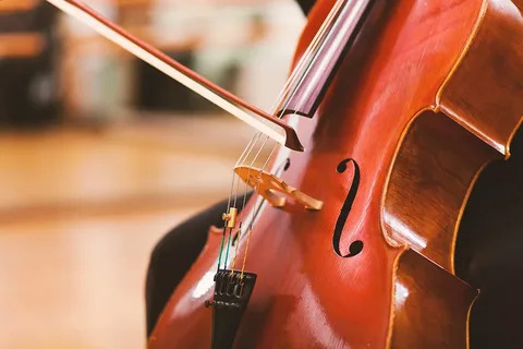 Violoncello