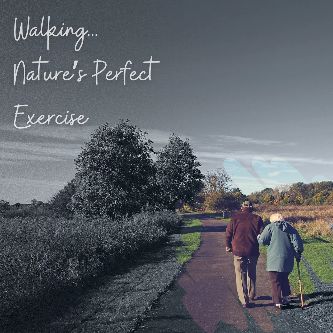 The Power of Walking: How Regular Strolls Improve Your Health