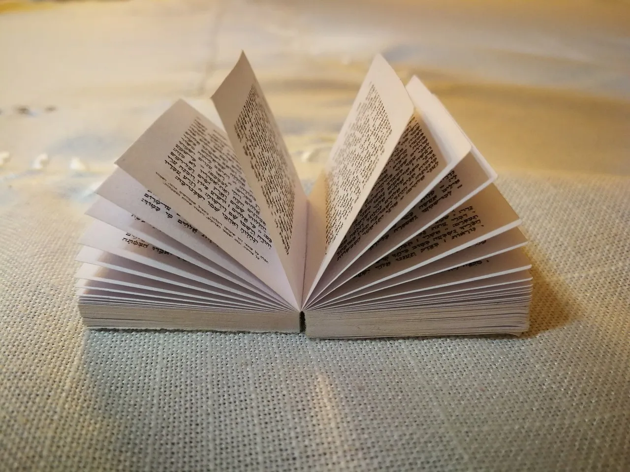 January 29,2025 Hebrews Chapter 4