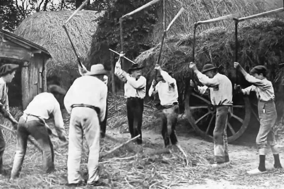 Murales Cuntrà Zura: i murales rappresentano antichi lavori di campagna con il grano considerata la coltivazione principale