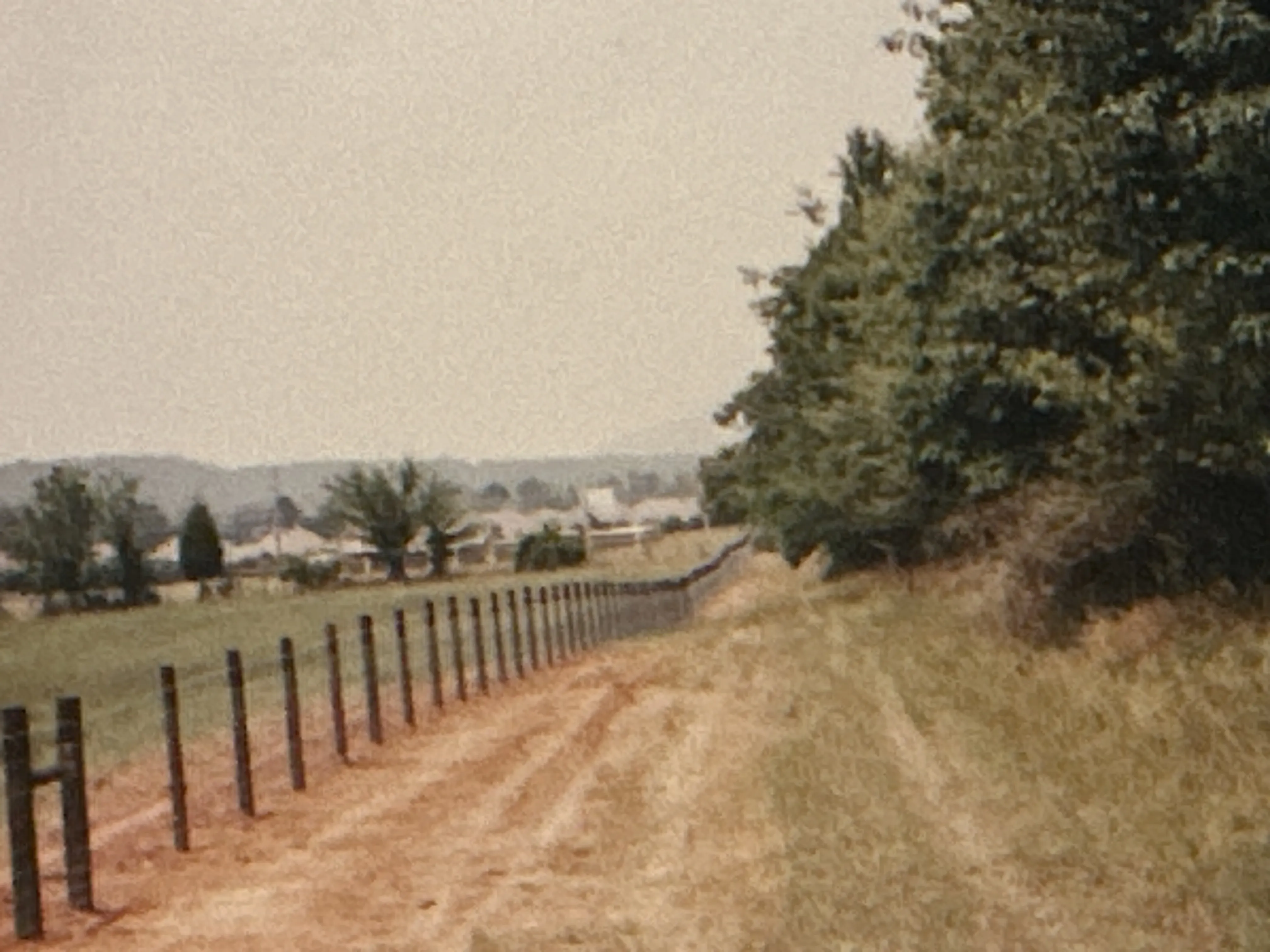 Field Fence with Wood Post