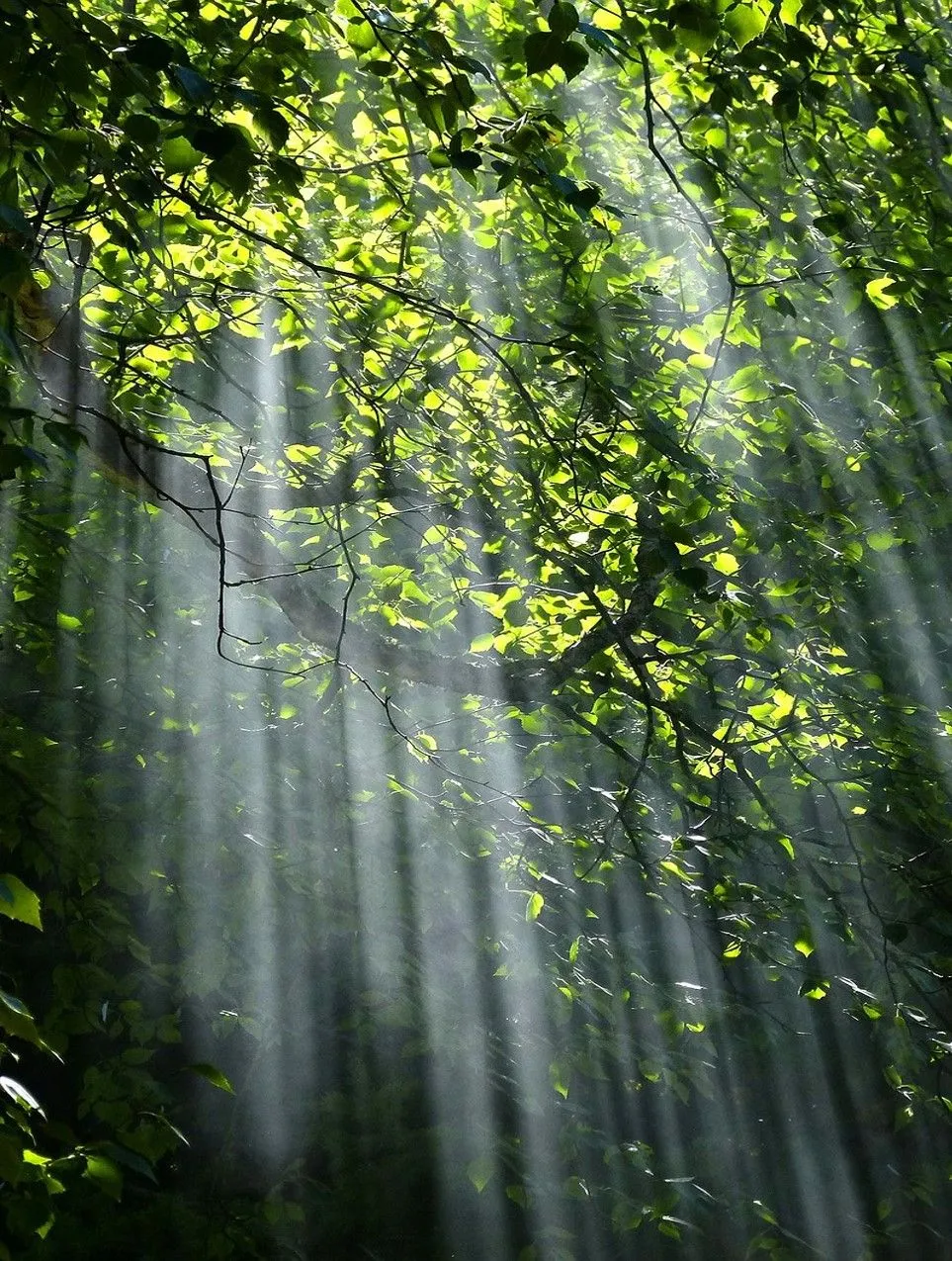 Energetica - Spirituale