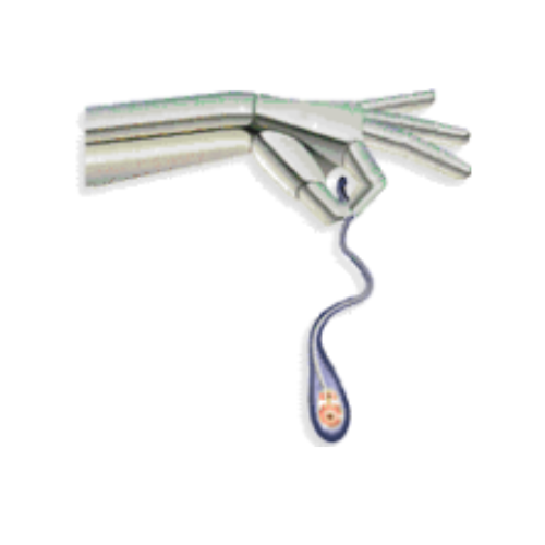 Reproductive Products