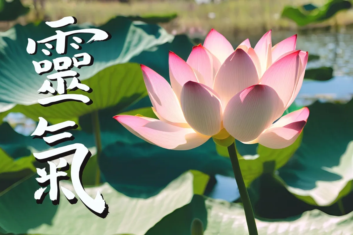 Primo Livello Reiki Metodo Usui