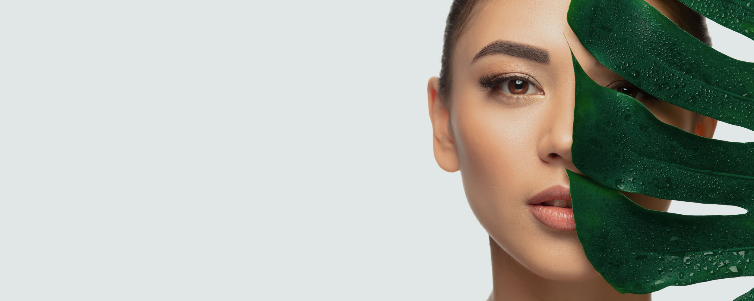 Kige-Line / La linea