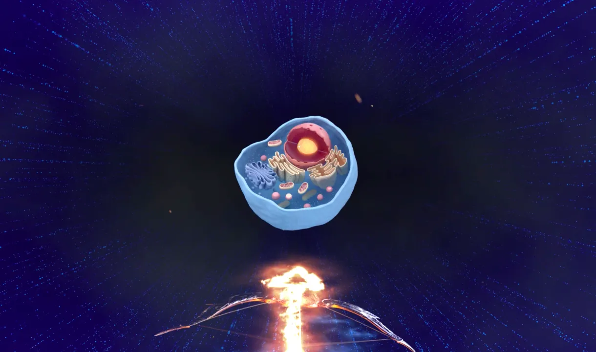 Esiste un modo per muoversi in agilità, senza rinunce e senza privazioni ma bilanciando  correttamente tutto?