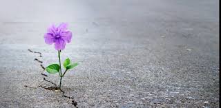 February 19,2025 The Hope of The Gospel!