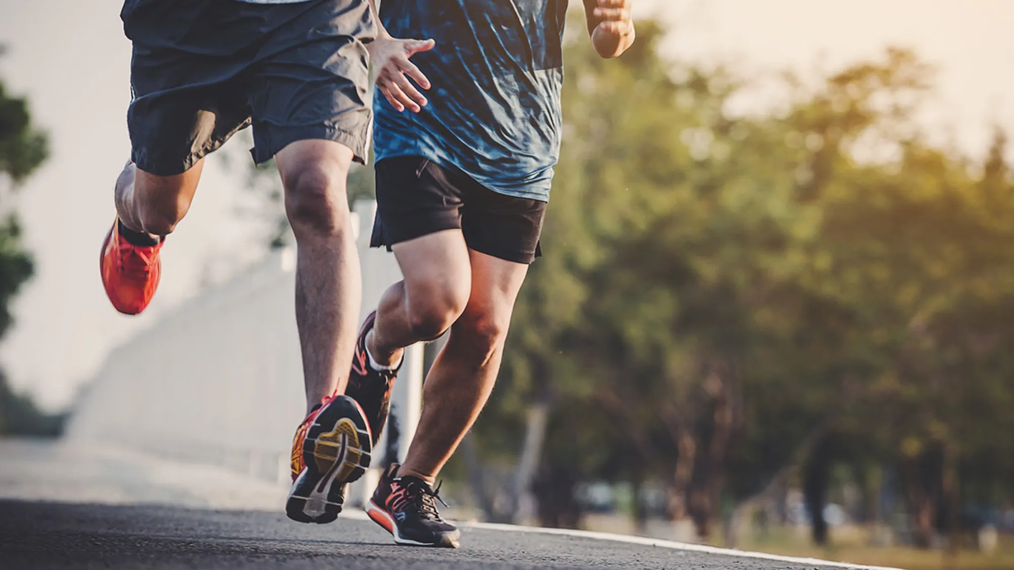 Cosa vuol dire allenarsi?