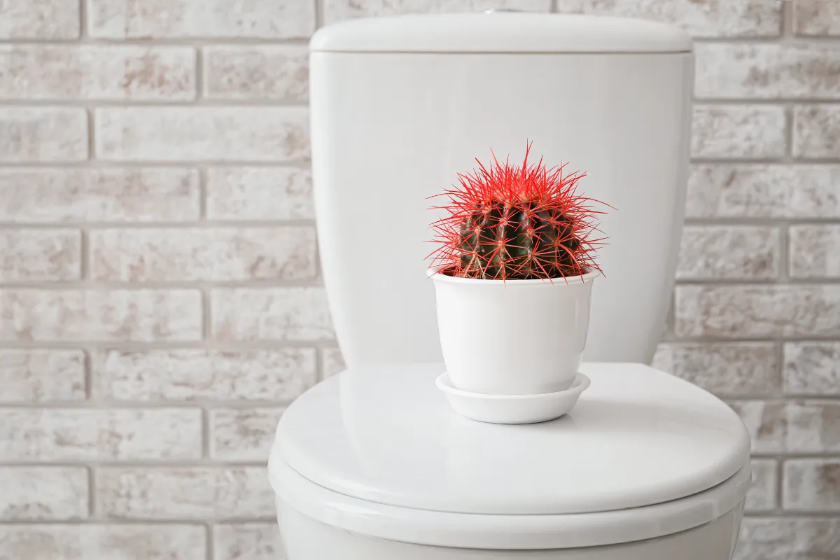 Emorroidi: come ritrovare il benessere con semplici rimedi