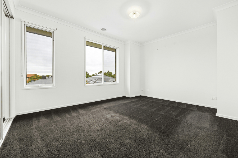 Carpet & Upholstery Cleaning