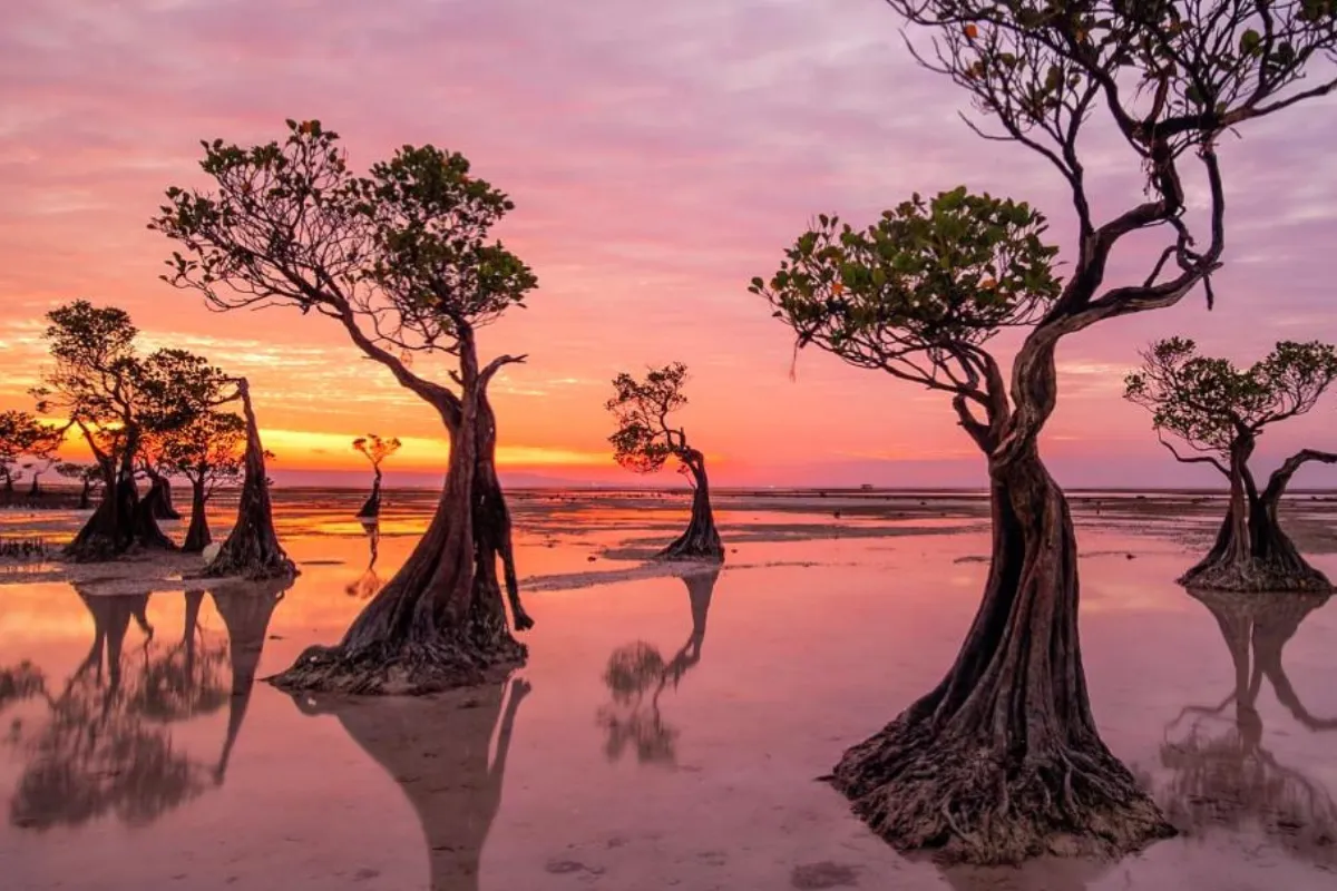 COSTELLAZIONI FAMILIARI