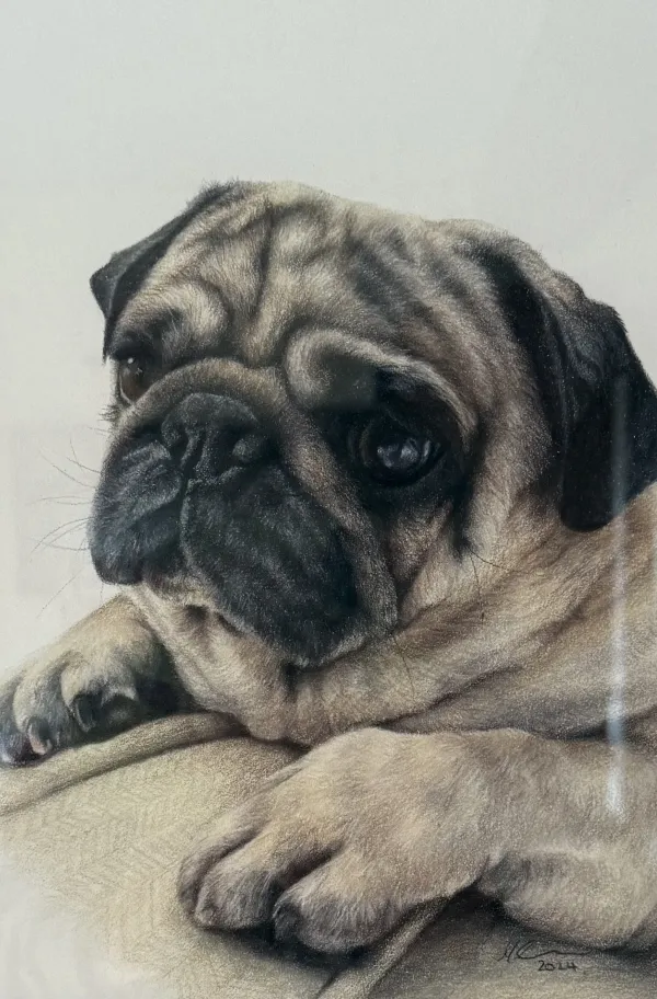 barnaby drawing megan elizabeth