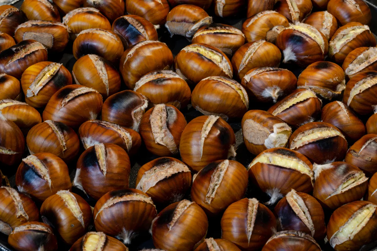 BANCO CON MACCHINA CALDARROSTE